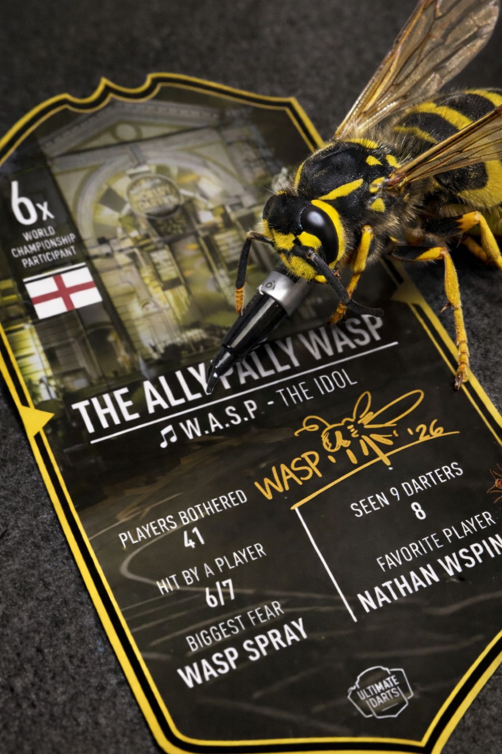SIGNED ALLY PALLY WASP 2026 Mini Ultimate Darts Card