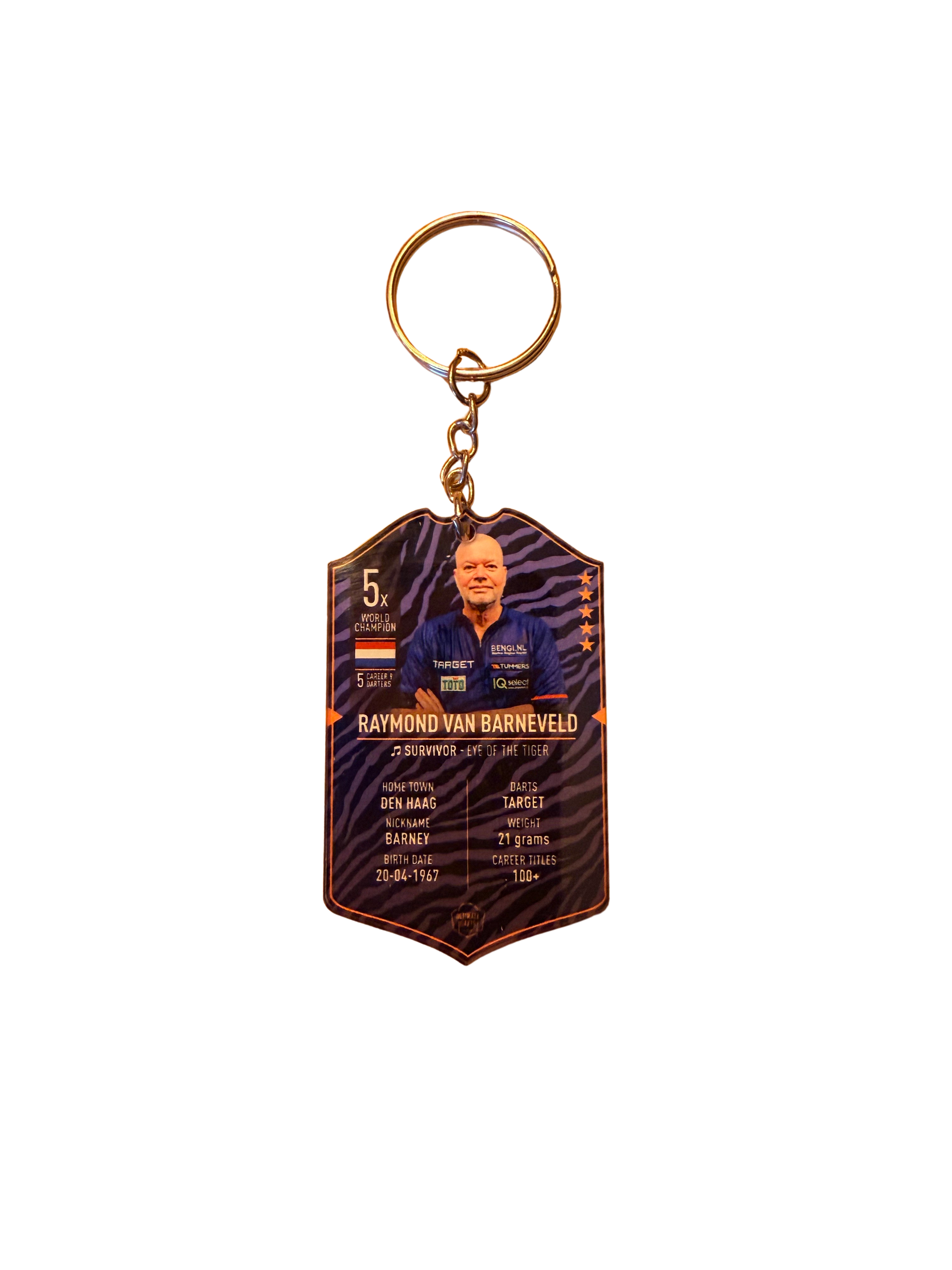 VAN BARNEVELD ULTIMATE DARTS CARD