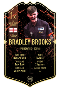Ultimate Darts Bradley Brooks