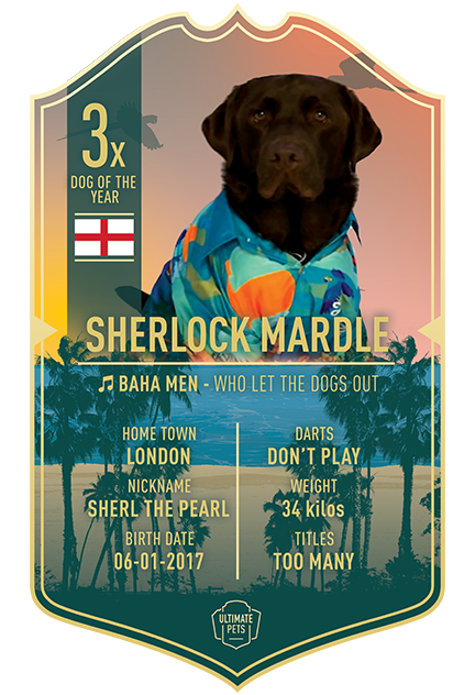 Sherlock Mardle Ultimate Pets Card *Limited Edition* - Ultimate Darts